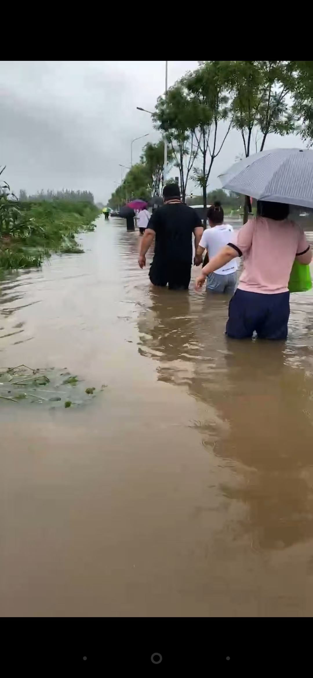 風雨前行，無懼無悔——沈陽大區汛期一線工作記實