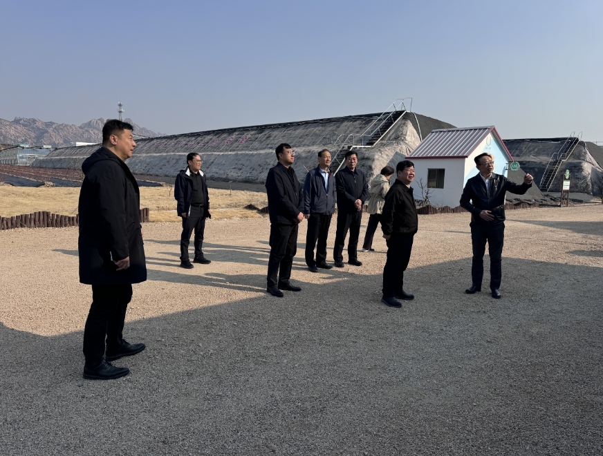 中國鄉村振興發展中心主任黃承偉一行 調研健力源青島生態農場和供應鏈基地